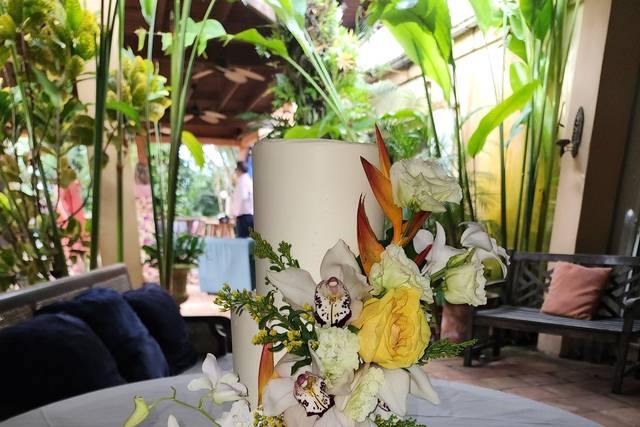 Tropical 3 tier