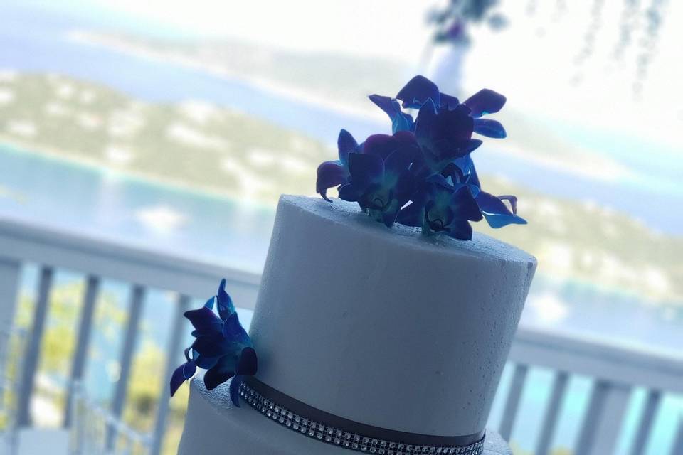 Blue,purple orchids