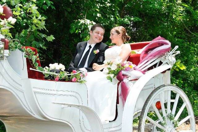 Horse carriage