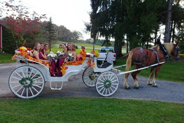 Horse carriage