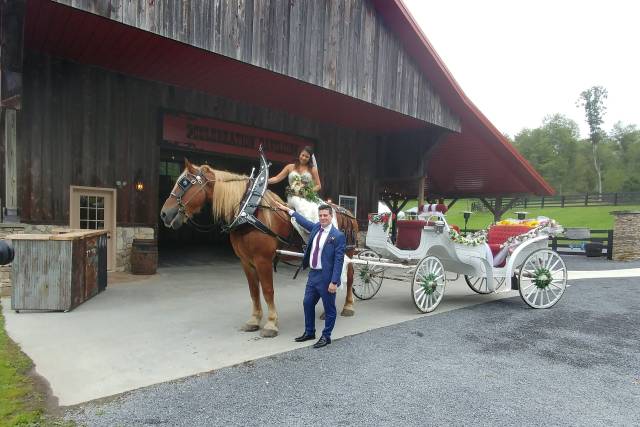 Horse carriage