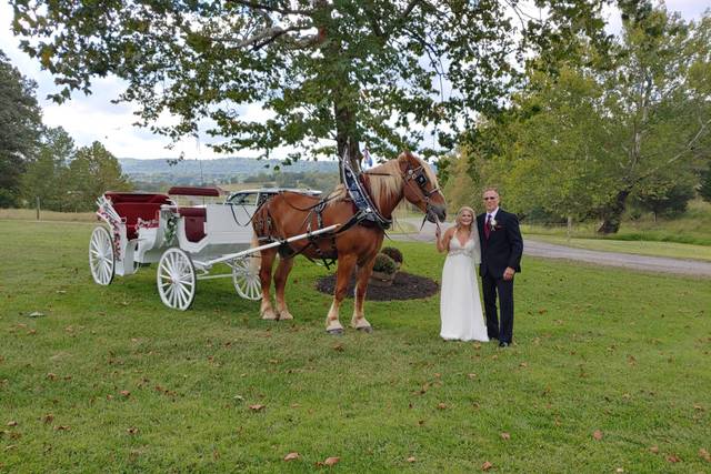 Horse carriage