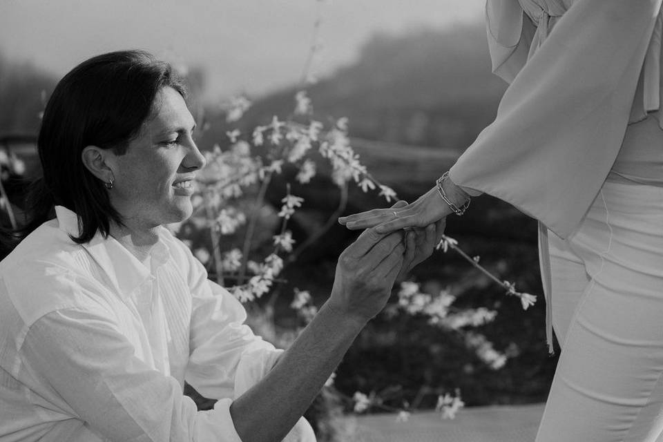 Ilaria Bruseghini Wedding Plan