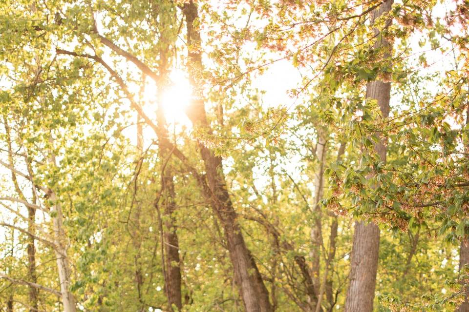 NJ Wedding