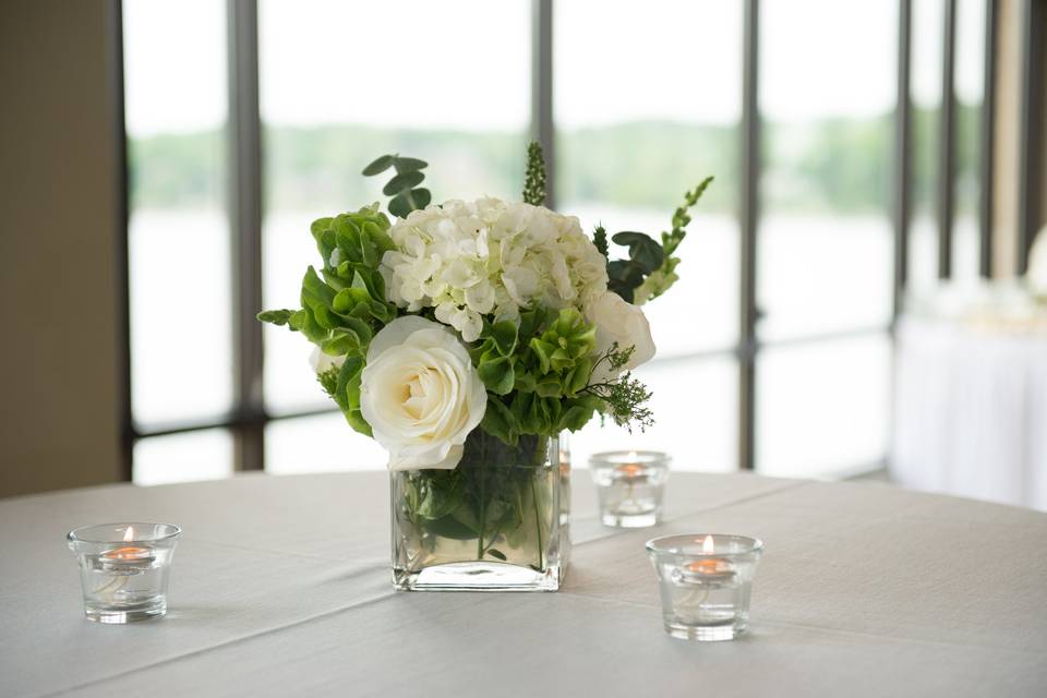 White & Greens