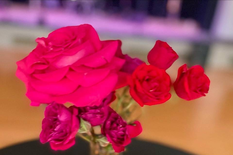 Reds & Pinks