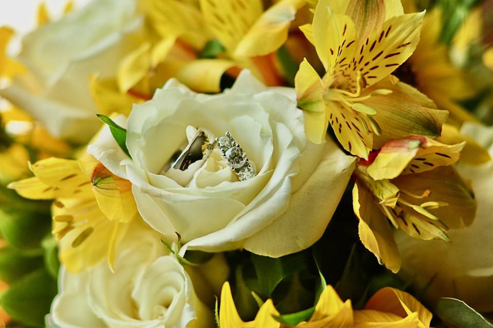 Yellow & White