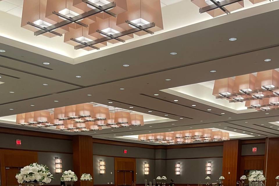 Elegance Party and Events