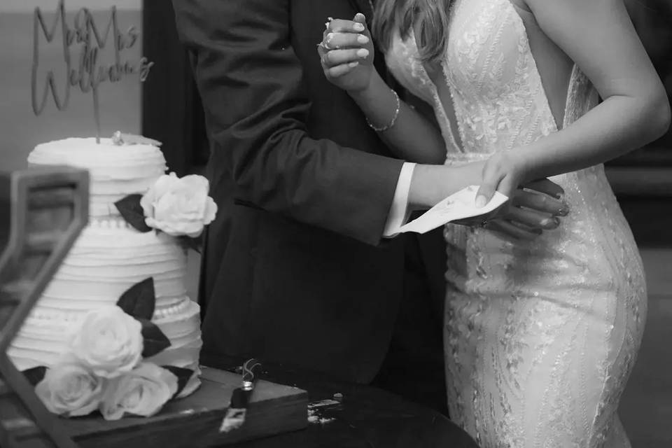 Veiled Moments Photo and Video