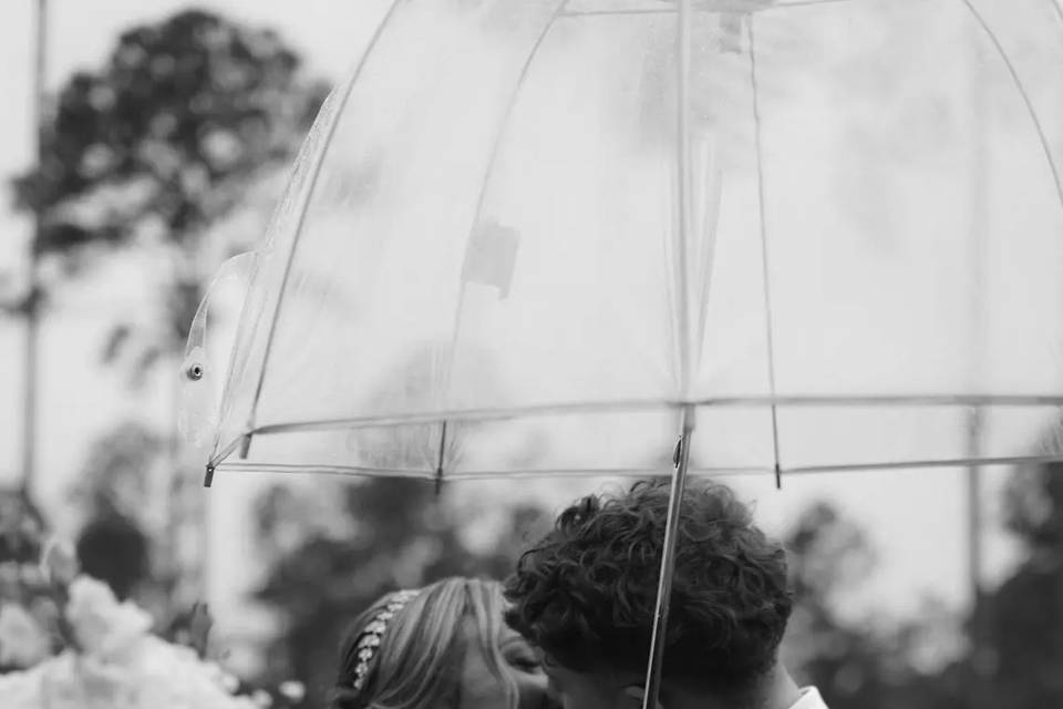 Veiled Moments Photo and Video