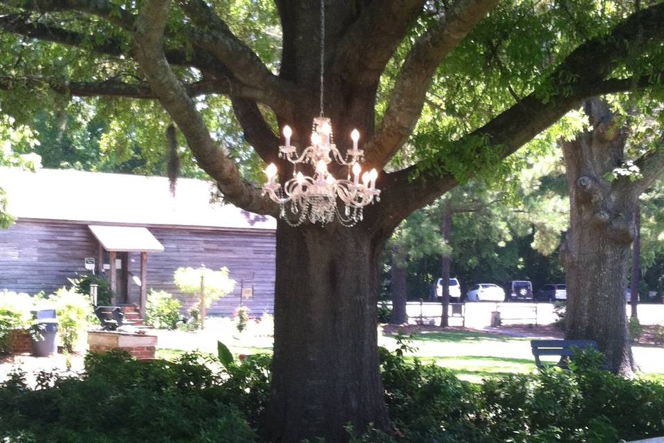 Outdoor chandelier hanging from tree