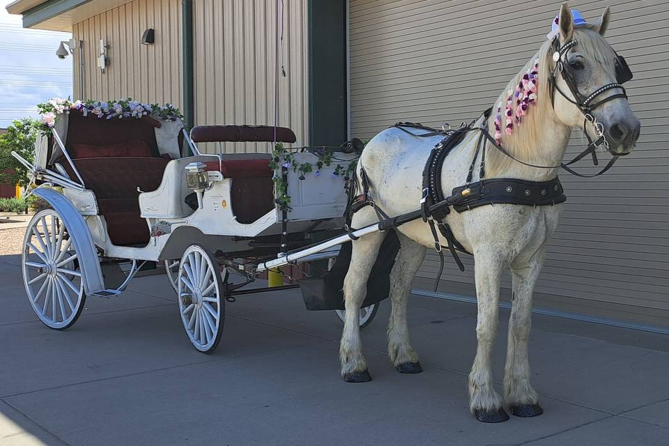 Arapahoe County Fairgrounds