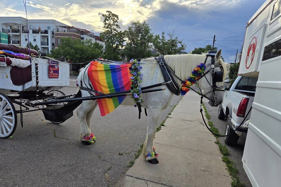 Occasional Carriages
