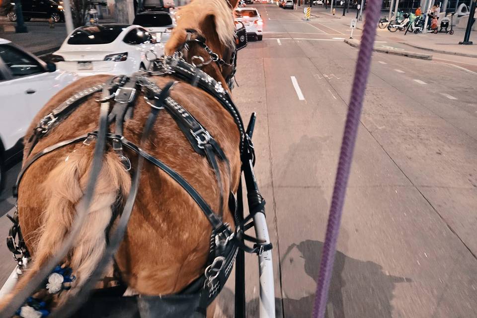 Occasional Carriages
