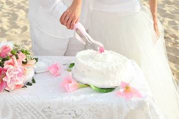 Tropical Wedding & Honeymoon