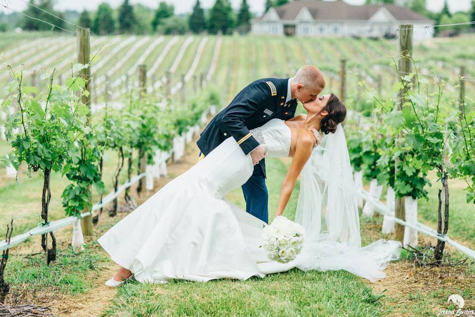 Kiss in the vineyard