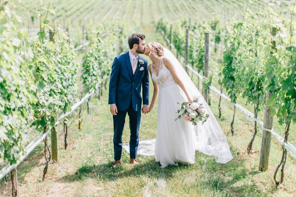 Vineyard kiss