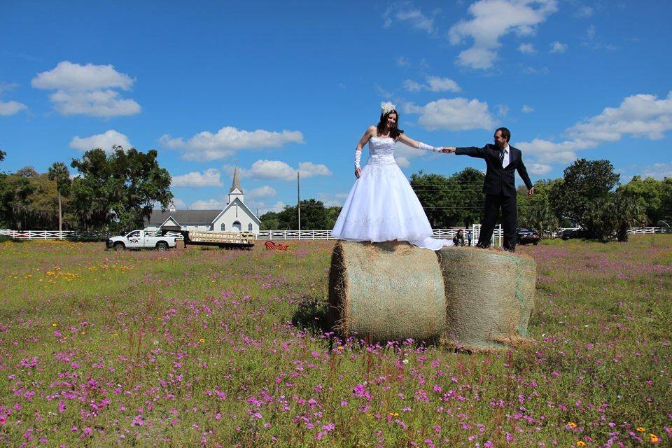 Vows and Views