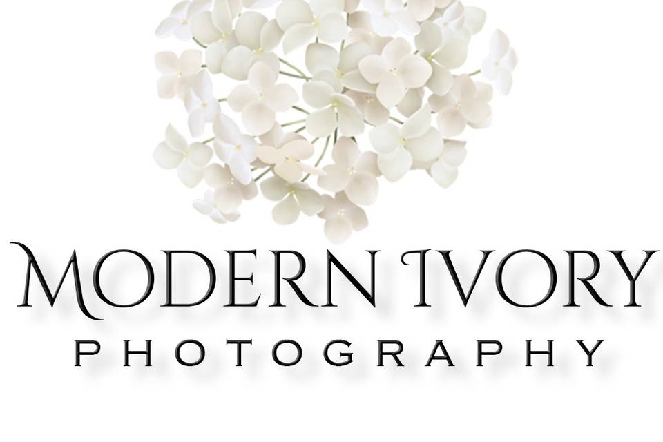 Modern Ivory Photography