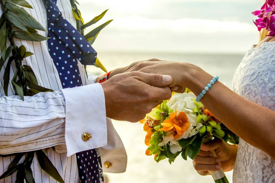 Elope on a Boat