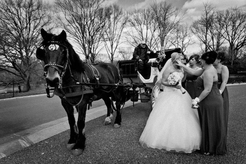 Bride in the carriage