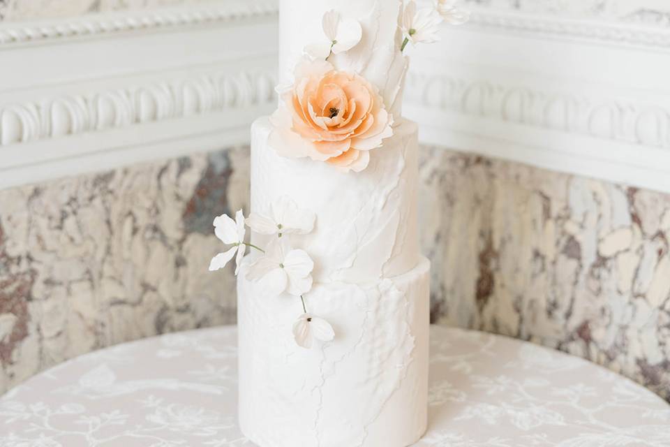 Wedding photographer