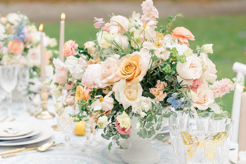 Wedding photographer
