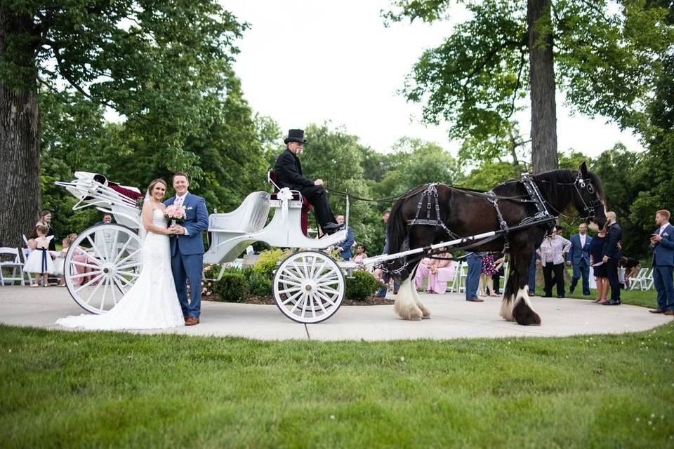 Arrive by  HorseDrawn Carriage