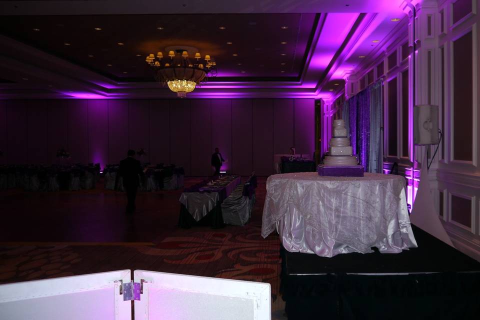 Elegant Entertainment DJ in Houston