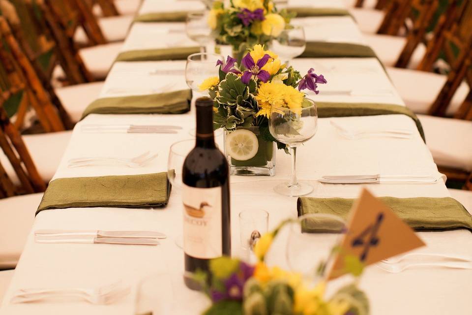 Long table setup