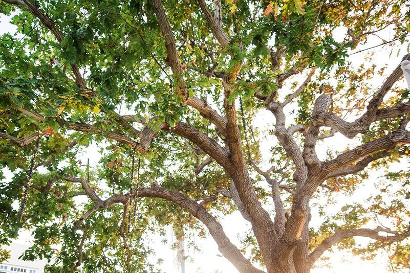 La Jolla Woman's Club wedding