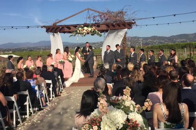 Beautiful vineyard ceremony