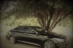 Above & Beyond Limousine Service