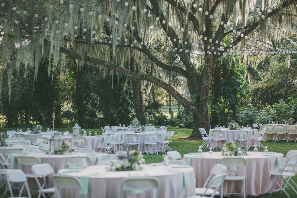 Outdoor table setting