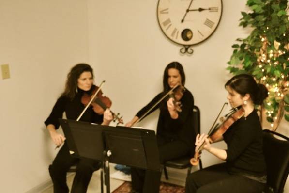 Trent River Chamber Players