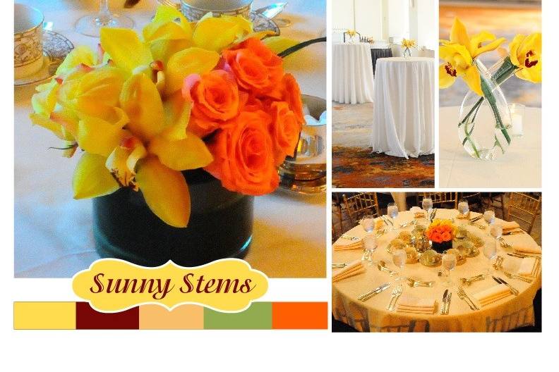 Stellar Style Events