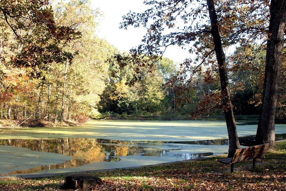 Metroparks Toledo