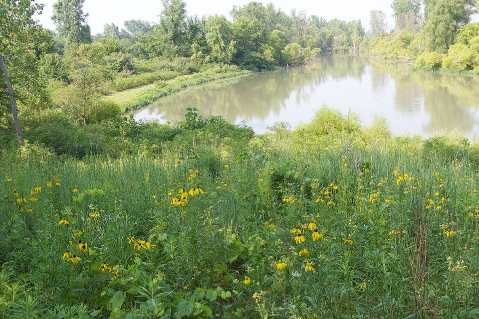 Metroparks Toledo