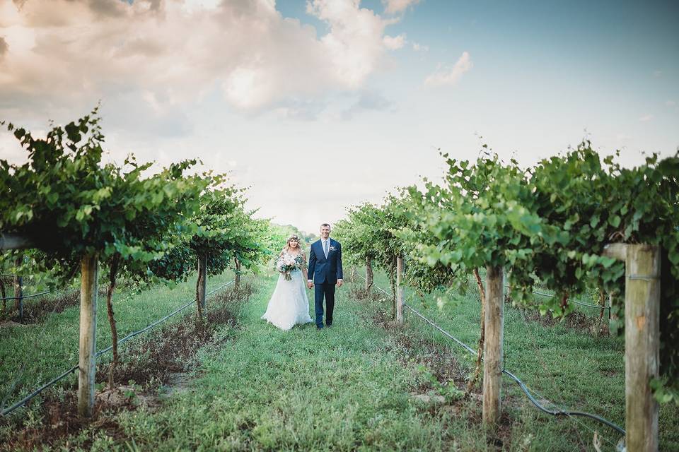 The Vineyards