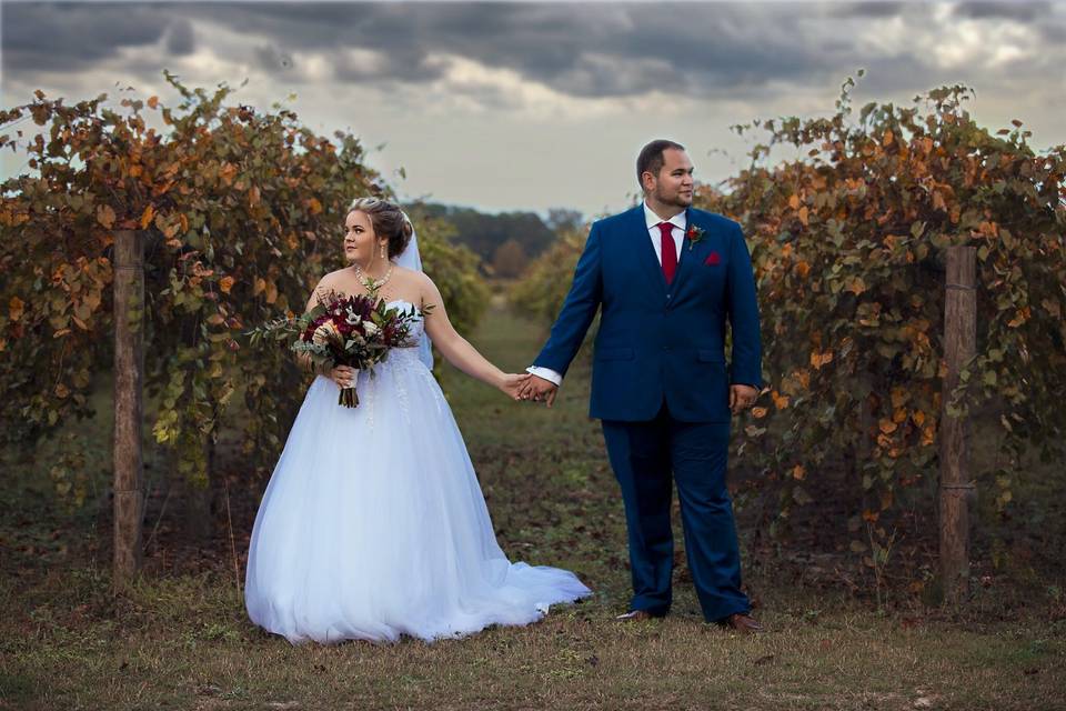 Bride + Groom in the Vineyards