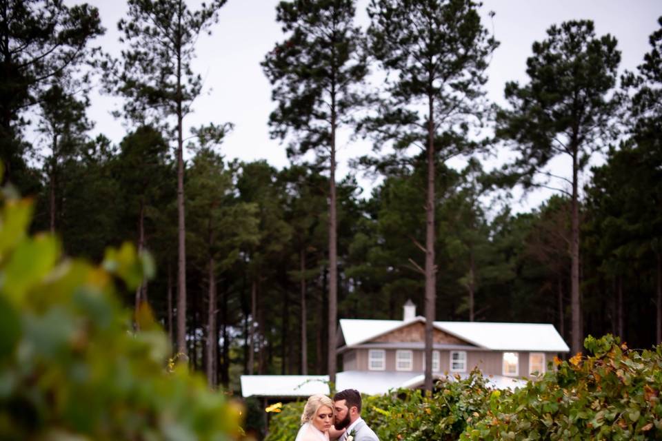 Bride + Groom in the Vineyards