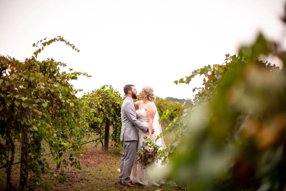 Bride + Groom in the Vineyards