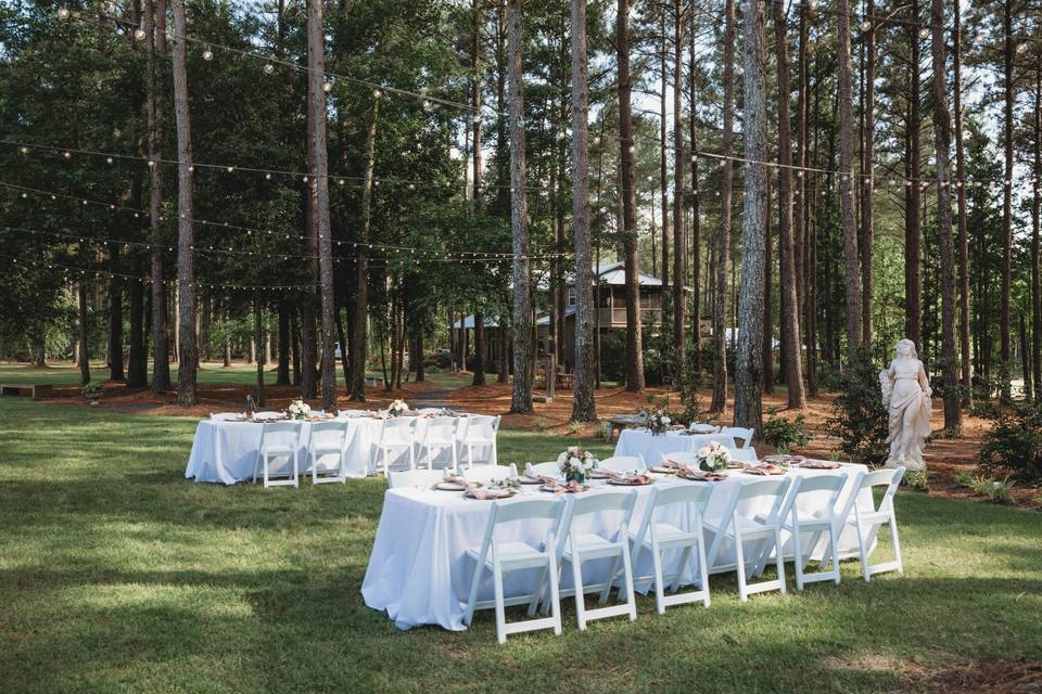 Intimate Outdoor Reception