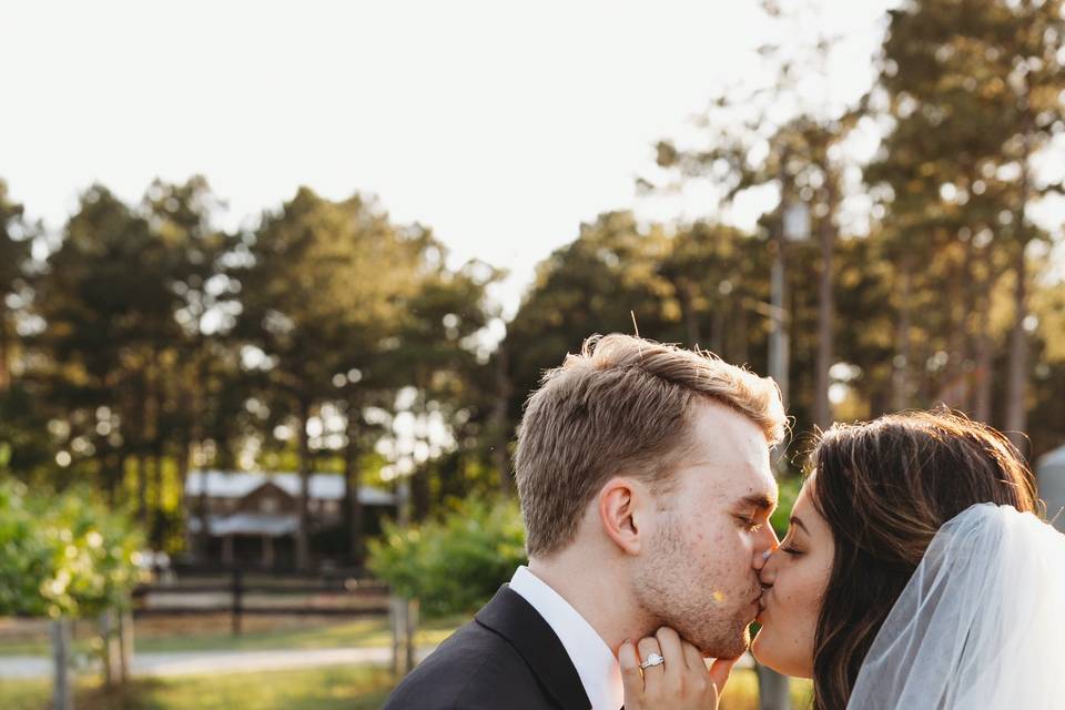 Bride + Groom - Vineyards