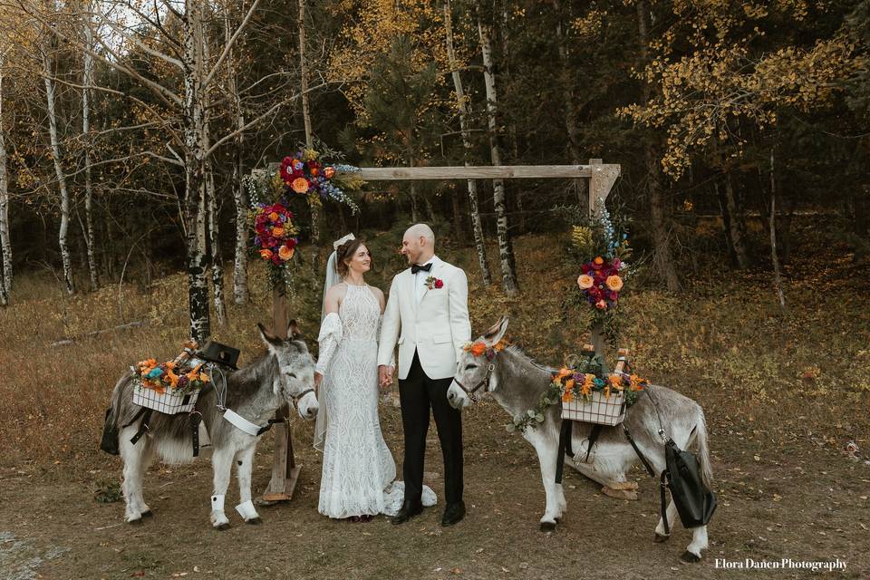 Meadow Creek Lodge Weddings