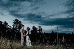 Meadow at Dusk