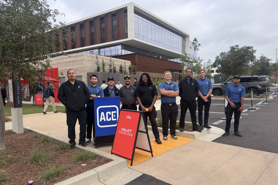 ACE Parking