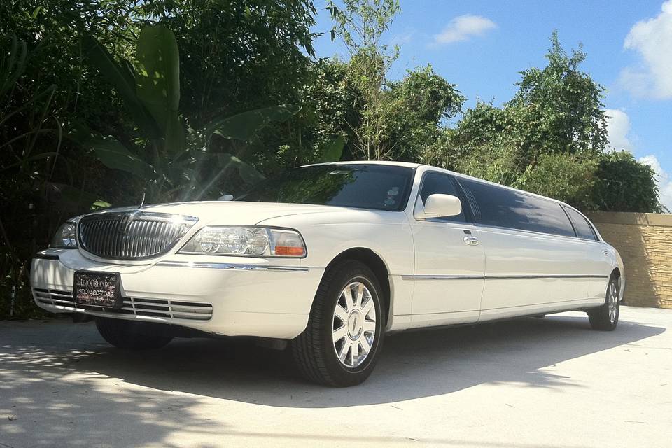 Limo Orlando by Magic Touch