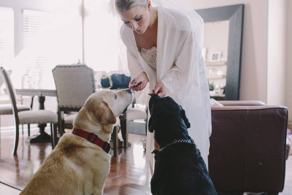Pups help Bride prepare for her biggest day yet!