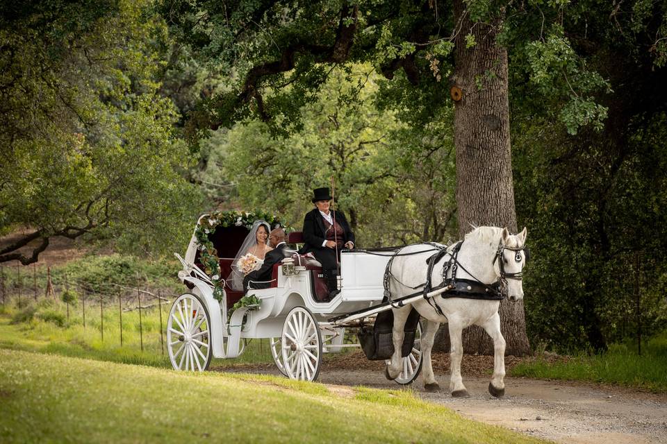 Top Hand Carriage Co